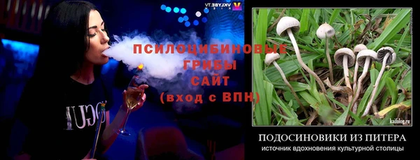 твердый Алексин