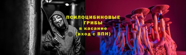 эйфоретик Алексеевка