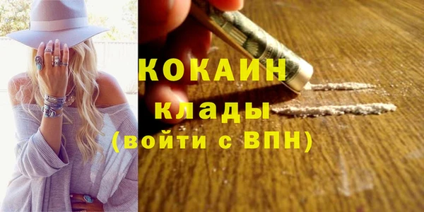 твердый Алексин